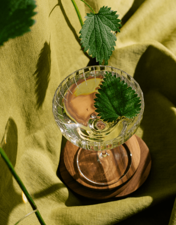 Kombucha v broušené sklenici s kopřivovým listem servírovaná na zeleném lněném ubrusu, osvěžující drink od Euforie a JZT Ferments.